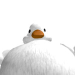 @eduiqq