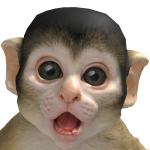 @markdaryll01
