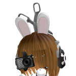 @B11B0T
