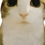 @PotatoBunnyBurito