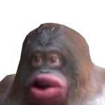@Kileybugismeh04