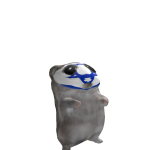 @Seewolke