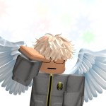 @ThijnRBLX