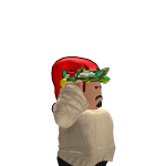 @FabriGamer800