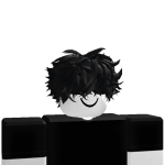 @roblox_user_3128621304