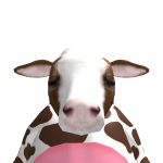 @manarharouche