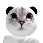 @spidaslat