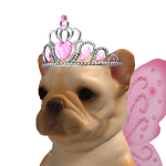@AXPRIL_PEANUTPEBBLE