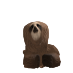 @littlesloth201