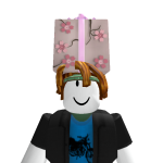 @SniperGamerTurbo