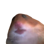 @Glitch_3629