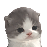 @Kazuki2003000