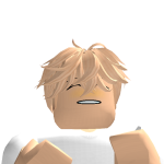 @BloxQuality