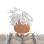 @1Ratster