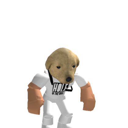Roblox profile picture for @xknighty