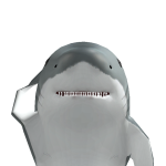fia