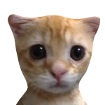 @Ilovmillsme