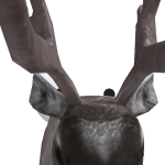 @MothSplash