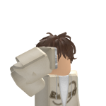 @HomeAloneEvan