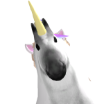 @Beachiia