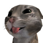 @kittywiskers120