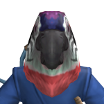 @SquirtleDoesRoblox6