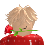 @roblox_user_3031309747