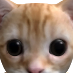 @Daynoosor