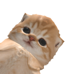 @shyguy2O