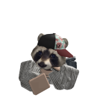 @LilPuoopy