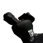 TSIR