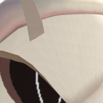 @Virtus647