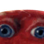 GrizzlyplaQC