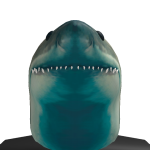 @Chxappp0