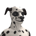 @B4RNUTS