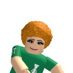 @paulsriprogamer