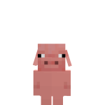 Piggy