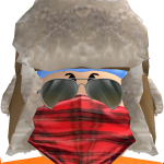 @shavehczto