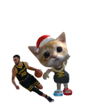 @30COPWildcat