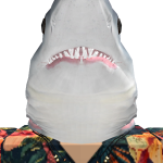 @MyNameIsRekted
