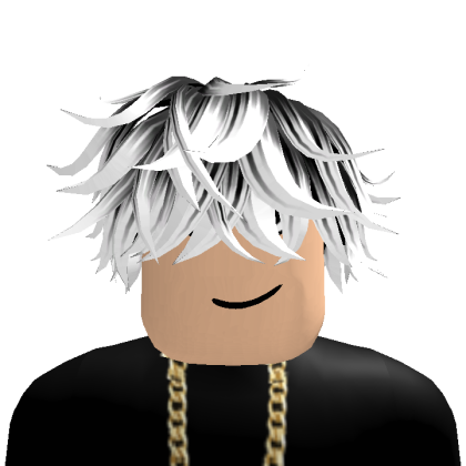 Roblox profile picture for @www30310