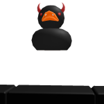 @Timlel_1337