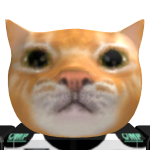 @nascarisreak