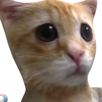 @SpeedyCheetah1997