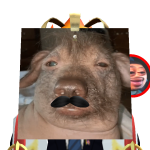 @gorgewashingtonloco