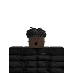 @trexmalhi12764