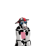 @annathecow1