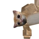 @1234caseyjjj