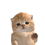 @ami_nmnm