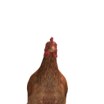 @lilplays978